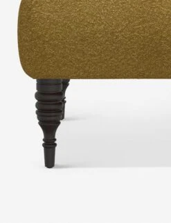 Vyolet Accent Chair -Lulu Andgeorgia Shop 9505CPNOCH 4