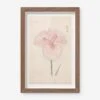 Vintage Japanese Iris No. 16 Wall Art By Miyoshi Manabu -Lulu Andgeorgia Shop AFLWR 16 7.5X12 UPDATED
