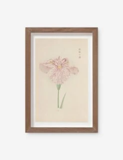 Vintage Japanese Iris No. 20 Wall Art By Miyoshi Manabu