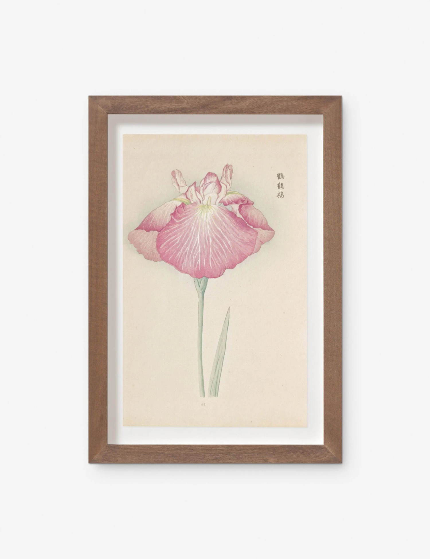 Vintage Japanese Iris No. 23 Wall Art By Miyoshi Manabu 1 Vintage Japanese Iris No. 23 Wall Art By Miyoshi Manabu