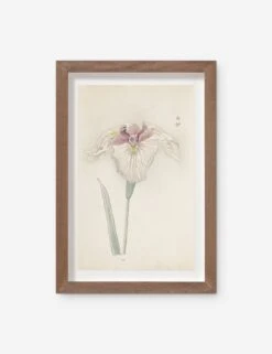 Vintage Japanese Iris No. 33 Wall Art By Miyoshi Manabu