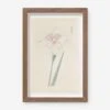 Vintage Japanese Iris No. 36 Wall Art By Miyoshi Manabu 2 Vintage Japanese Iris No. 36 Wall Art By Miyoshi Manabu -Lulu Andgeorgia Shop AFLWR 36 7.5X12.25