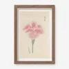 Vintage Japanese Iris No. 49 Wall Art By Miyoshi Manabu -Lulu Andgeorgia Shop AFLWR 49 7.5X12.25