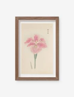 Vintage Japanese Iris No. 49 Wall Art By Miyoshi Manabu