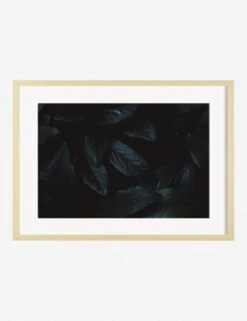 Still Life 3 Photography Print By Ashley Johnson -Lulu Andgeorgia Shop AshleyJohnsonStillLIfePack7 3naturalframe
