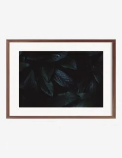 Still Life 3 Photography Print By Ashley Johnson -Lulu Andgeorgia Shop AshleyJohnsonStillLIfePack7 3walnutframe