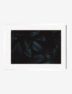 Still Life 3 Photography Print By Ashley Johnson -Lulu Andgeorgia Shop AshleyJohnsonStillLIfePack7 3whiteframe