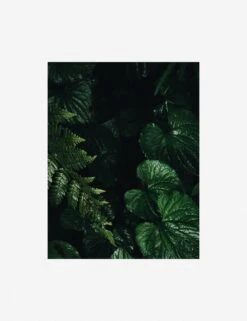 Still Life 14 Photography Print By Ashley Johnson -Lulu Andgeorgia Shop AshleyJohnsonStillLifePack7 14unframed