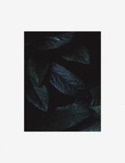 Still Life 3 Photography Print By Ashley Johnson -Lulu Andgeorgia Shop AshleyJohnsonStillLifePack7 3unframed