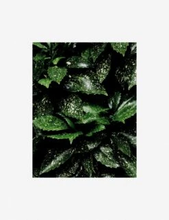 Still Life 7 Photography Print By Ashley Johnson 12 Still Life 7 Photography Print By Ashley Johnson -Lulu Andgeorgia Shop AshleyJohnsonStillLifePack7 7unframed