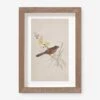 Vintage Bird Watercolor No. 69 Wall Art By Visual Contrast
