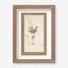Vintage Bird Watercolor No. 74 Wall Art By Visual Contrast 3 Vintage Bird Watercolor No. 74 Wall Art By Visual Contrast -Lulu Andgeorgia Shop BIRDWC 74 5x8 be9055f1 3cc7 4b93 b299 44948bf211c2