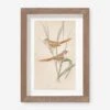 Vintage Bird Watercolor No. 82 Wall Art By Visual Contrast