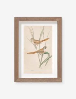 Vintage Bird Watercolor No. 82 Wall Art By Visual Contrast