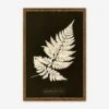 Lastrea Spinulosa Print By Anna Atkins -Lulu Andgeorgia Shop BOTLAS9514BGO