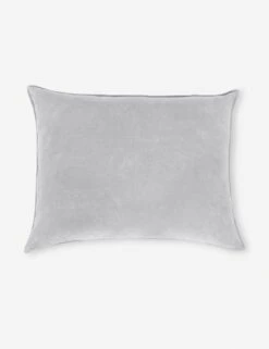 Bianca Velvet Oversized Pillow By Pom Pom At Home -Lulu Andgeorgia Shop Biancagreybigpillowcopy