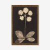Botanical Photogram Print -Lulu Andgeorgia Shop BotanicalPhotogramBronzeGoldFrame