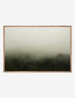 Norcal 10 Photography Print By Flavia Cureteu