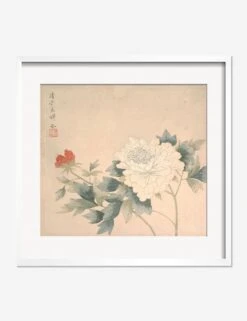 Flower Study 2 Print By Yun Bing -Lulu Andgeorgia Shop FlowerStudy 2WhiteMatted