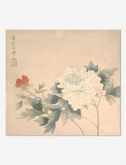 Flower Study 2 Print By Yun Bing -Lulu Andgeorgia Shop FlowerStudy 2unframedprint