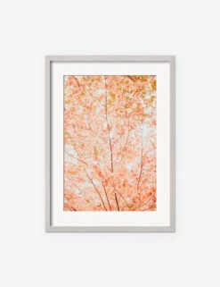 Pastel Fall Tree Photography Print By Ingrid Beddoes -Lulu Andgeorgia Shop IngridPastelFallTreeSilverFrame