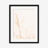 Wild Grass Photography Print By Ingrid Beddoes -Lulu Andgeorgia Shop IngridWildGrassBlackFrame