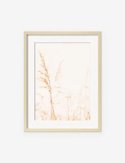 Wild Grass Photography Print By Ingrid Beddoes -Lulu Andgeorgia Shop IngridWildGrassNaturalFrame