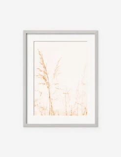 Wild Grass Photography Print By Ingrid Beddoes -Lulu Andgeorgia Shop IngridWildGrassSilverFrame