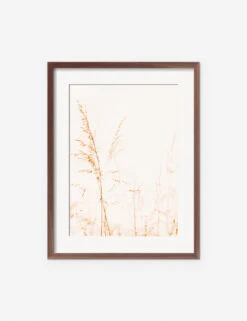 Wild Grass Photography Print By Ingrid Beddoes -Lulu Andgeorgia Shop IngridWildGrassWalnutFrame
