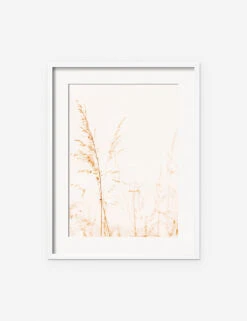Wild Grass Photography Print By Ingrid Beddoes -Lulu Andgeorgia Shop IngridWildGrassWhiteFrame