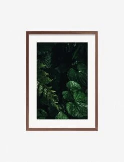 Still Life 14 Photography Print By Ashley Johnson -Lulu Andgeorgia Shop JohnsonStillLIfepack7 14Walnutframe