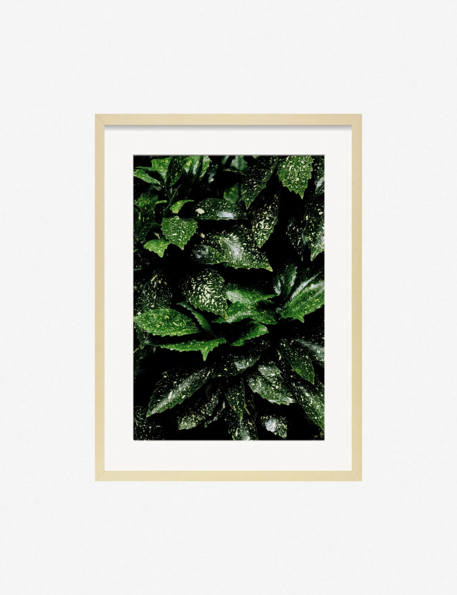 Still Life 7 Photography Print By Ashley Johnson 3 Still Life 7 Photography Print By Ashley Johnson - Image 3