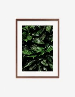 Still Life 7 Photography Print By Ashley Johnson 10 Still Life 7 Photography Print By Ashley Johnson -Lulu Andgeorgia Shop JohnsonStillLifePack7 7walnutframe