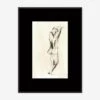 Charcoal Nudes 3 Wall Art By ZBC House -Lulu Andgeorgia Shop LG ZBC CNudes3 15X20 BB Product