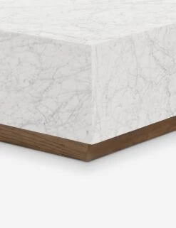 Janus Coffee Table 10 Janus Coffee Table -Lulu Andgeorgia Shop Lulu And Georgia 241862 001 DET 2 Product