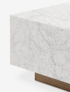 Janus Coffee Table 11 Janus Coffee Table -Lulu Andgeorgia Shop Lulu And Georgia 241862 001 DET 4 Product