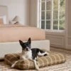 Rollo Dog Bed -Lulu Andgeorgia Shop Lulu And Georgia RolloDogBed Khaki Large A0659771 Site cropped Lifestyle