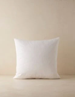 Feather Down Decorative Pillow Insert -Lulu Andgeorgia Shop Lulu and Georgia 22x22PillowInsert A06573650050 Product