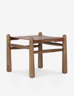 Radburn Stool -Lulu Andgeorgia Shop Lulu and Georgia 233257 002 DET 1 1 LE auto x2 product