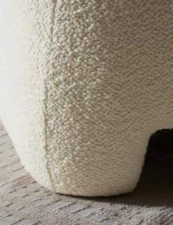 Rosoff Accent Chair -Lulu Andgeorgia Shop Lulu and Georgia 239271 002 DET 9 Product