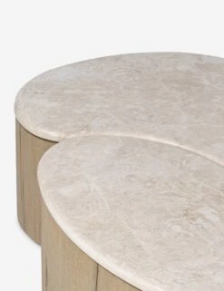 Lazaro Nesting Coffee Table 17 Lazaro Nesting Coffee Table -Lulu Andgeorgia Shop Lulu and Georgia 249160 002 DET 1 Product