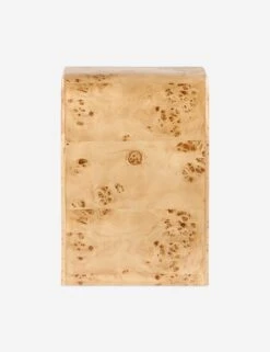 Boyan Nightstand -Lulu Andgeorgia Shop Lulu and Georgia BDM00228 2 product