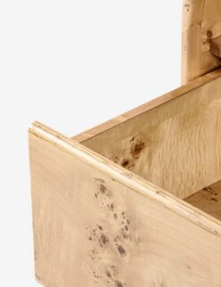 Boyan Nightstand -Lulu Andgeorgia Shop Lulu and Georgia BDM00228 5 product