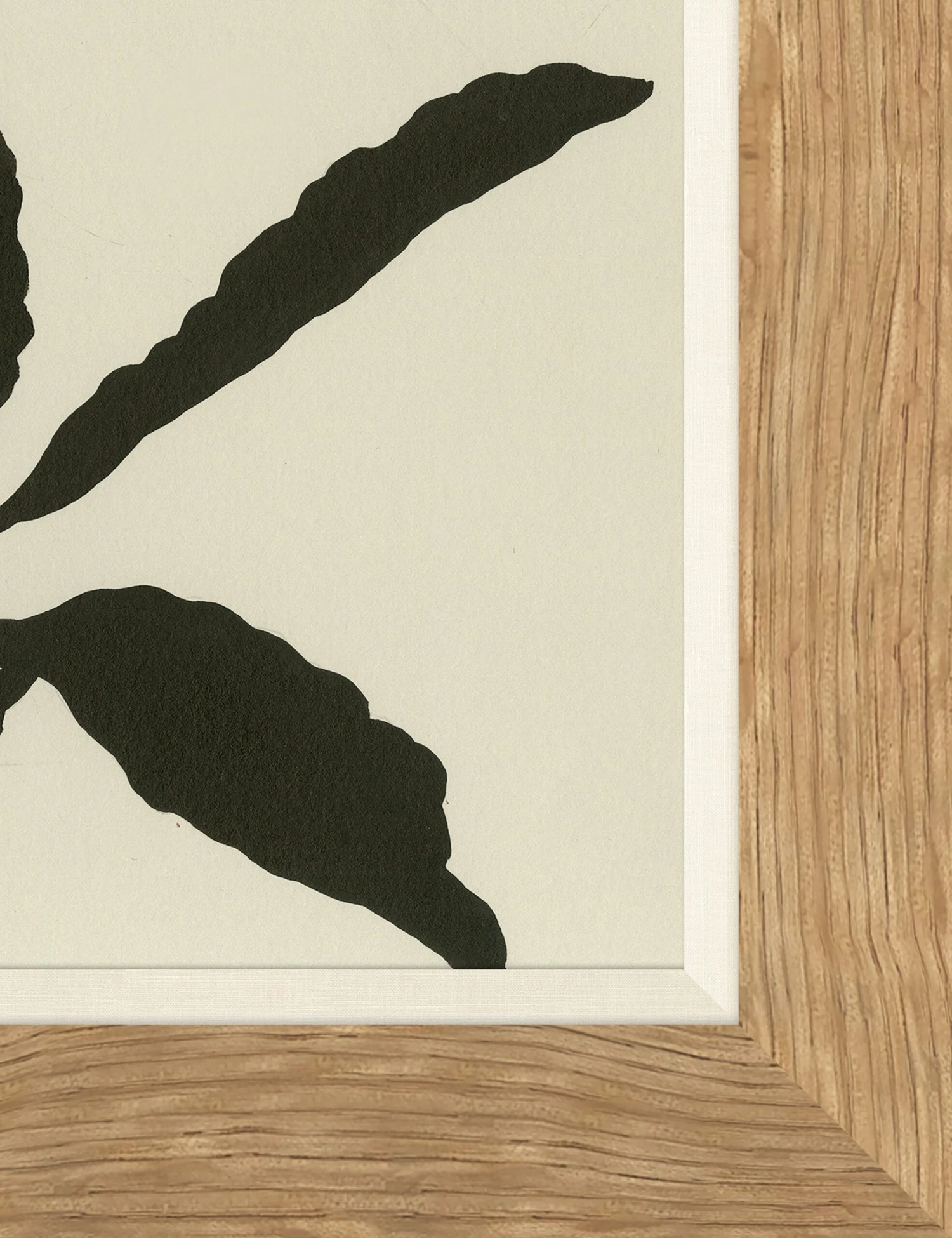 Allium Wall Art By Susan Hable 2 Allium Wall Art By Susan Hable - Image 2