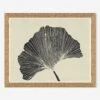 Sea Palm Wall Art By Susan Hable -Lulu Andgeorgia Shop Lulu and Georgia HC LULU 24 0110B product
