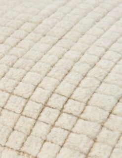 Mitsuki Pillow -Lulu Andgeorgia Shop Lulu and Georgia NVO006 detail texture Product