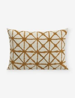 Azara Indoor / Outdoor Pillow -Lulu Andgeorgia Shop Lulu and Georgia PL2215PWTRCRSOCHTSP 1 1 Product