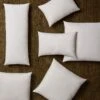 Feather Down Decorative Pillow Insert