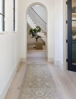 Menorca Rug By Pure Salt X Momeni -Lulu Andgeorgia Shop MENORMEN 2CRM 19