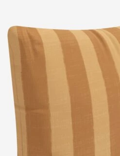 Alandra Indoor / Outdoor Pillow -Lulu Andgeorgia Shop PL18PBRCBMRSTSP 5